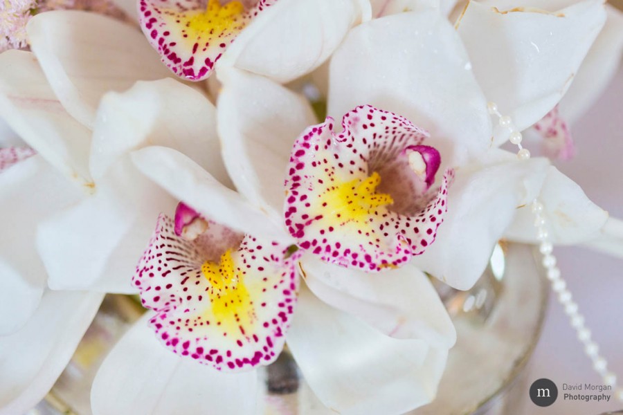 The Grove - Wedding Flowers by Blooms and Bows